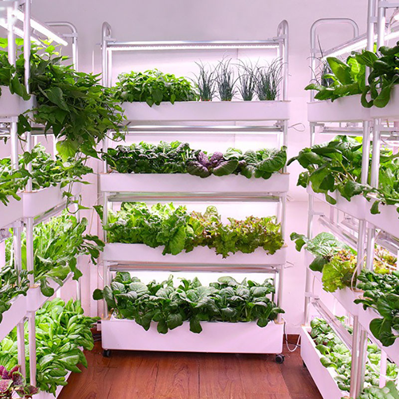 Smart Garden Vertical - Sistem Tumbuh Hidroponik Vertikal Pintar Dalam