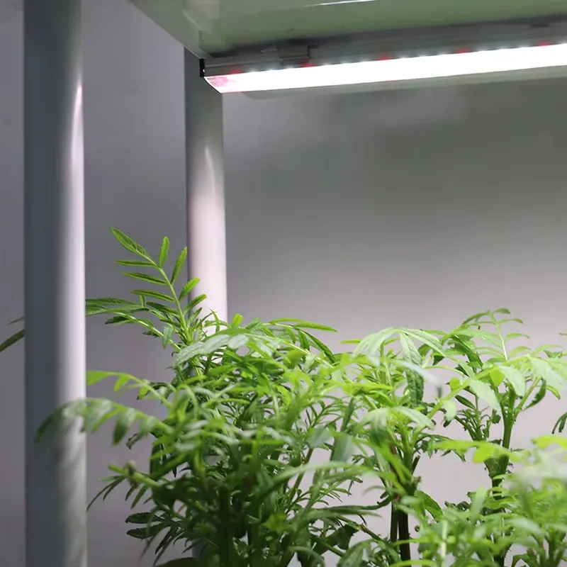 Rak Tanaman Vertikal 3 Tingkat - Smart Garden Vertical ulasan dan harga