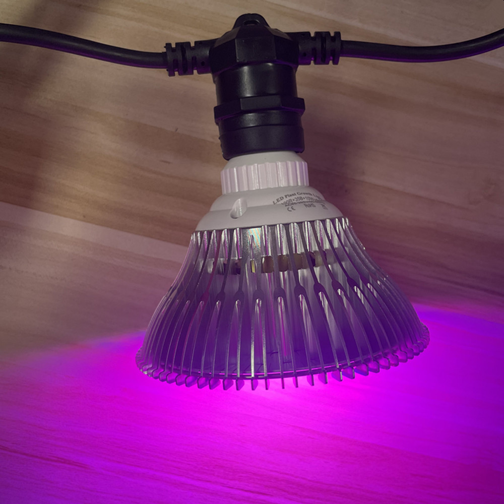 Kabel LED 10M Kelas Komersial  - Smart Garden Light ulasan dan harga