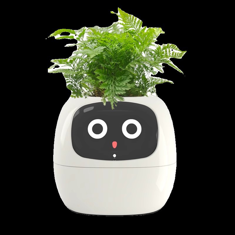 Pot Bunga Pintar Sensor Smart  - Self Watering Pot Sensor ulasan dan harga