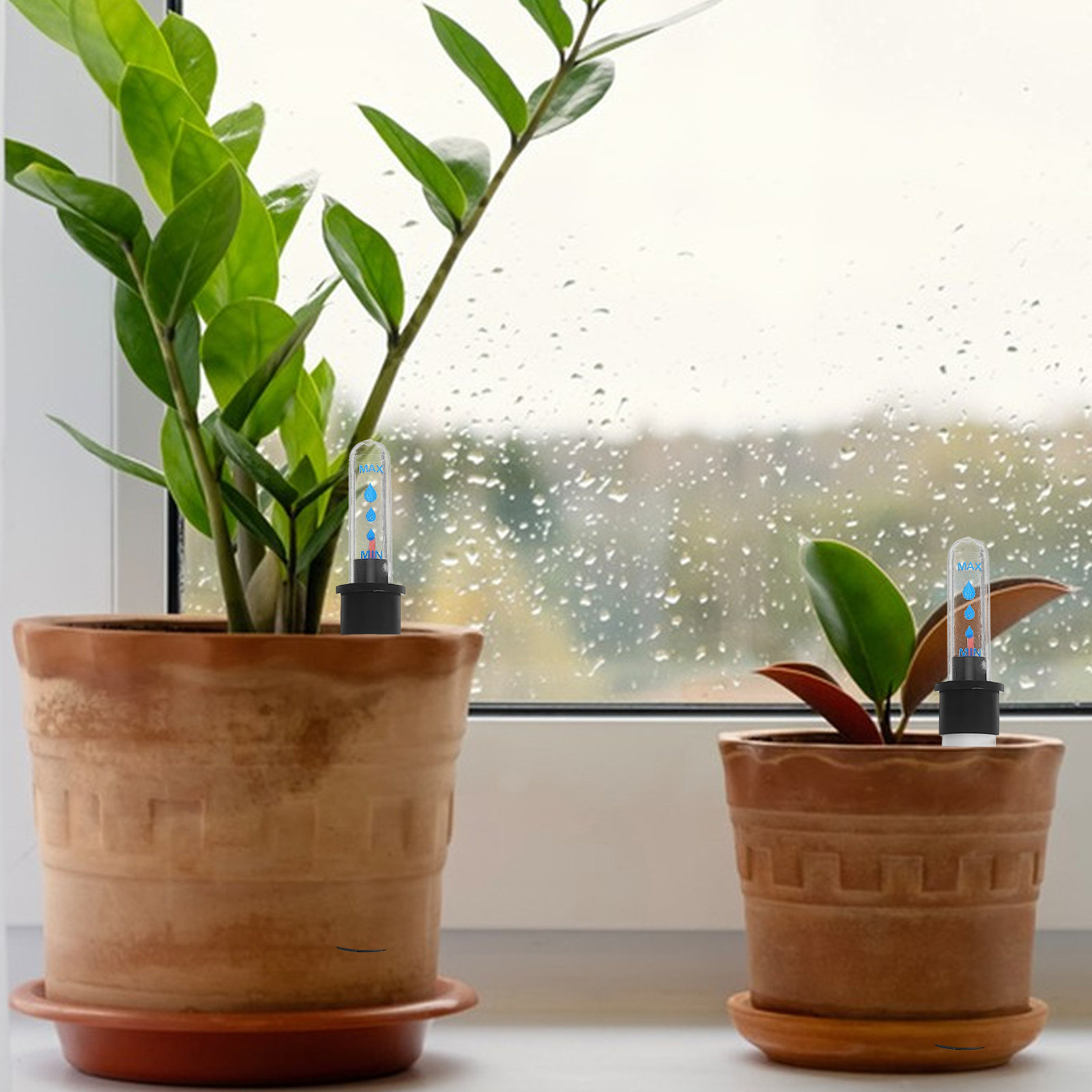 3Pcs Sensor Tingkat Air Tanama - Self Watering Pot Sensor ulasan dan harga