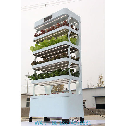 Sistem Hidroponik Rumah Tangga - Smart Garden Vertical ulasan dan harga