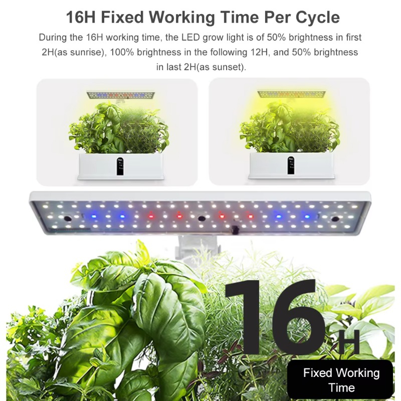 Sistem Penanaman Hidroponik Pi - Smart Garden Light ulasan dan harga