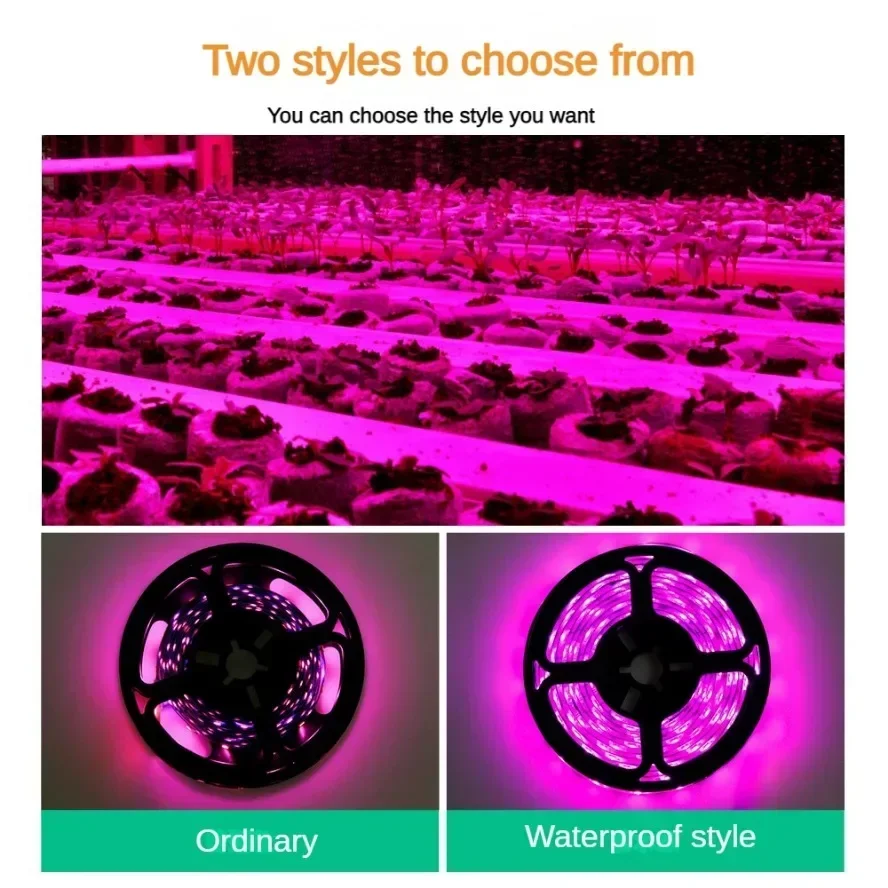 Sakelar Sentuh USB Dapat Dired - Led Plant Light Strip ulasan dan harga