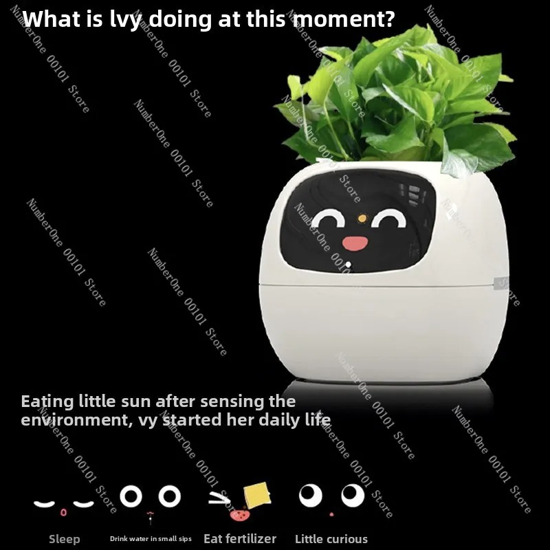Pot Bunga Plastik Otomatis den - Self Watering Pot Sensor ulasan dan harga