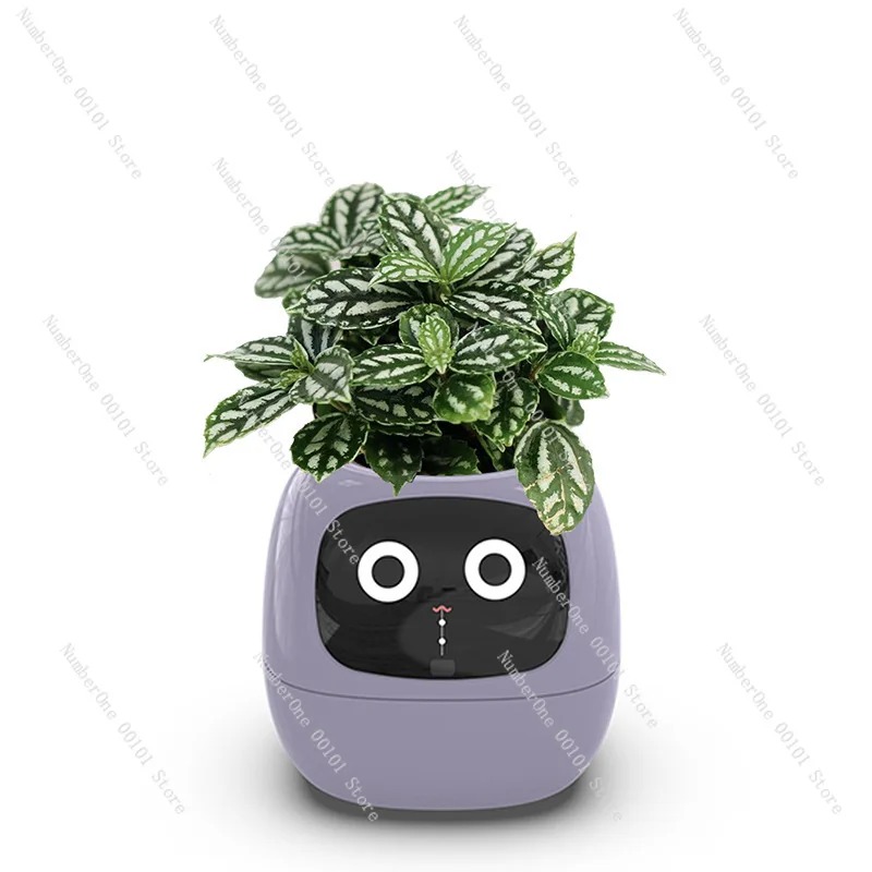 Pot Bunga Plastik Otomatis den - Self Watering Pot Sensor ulasan dan harga