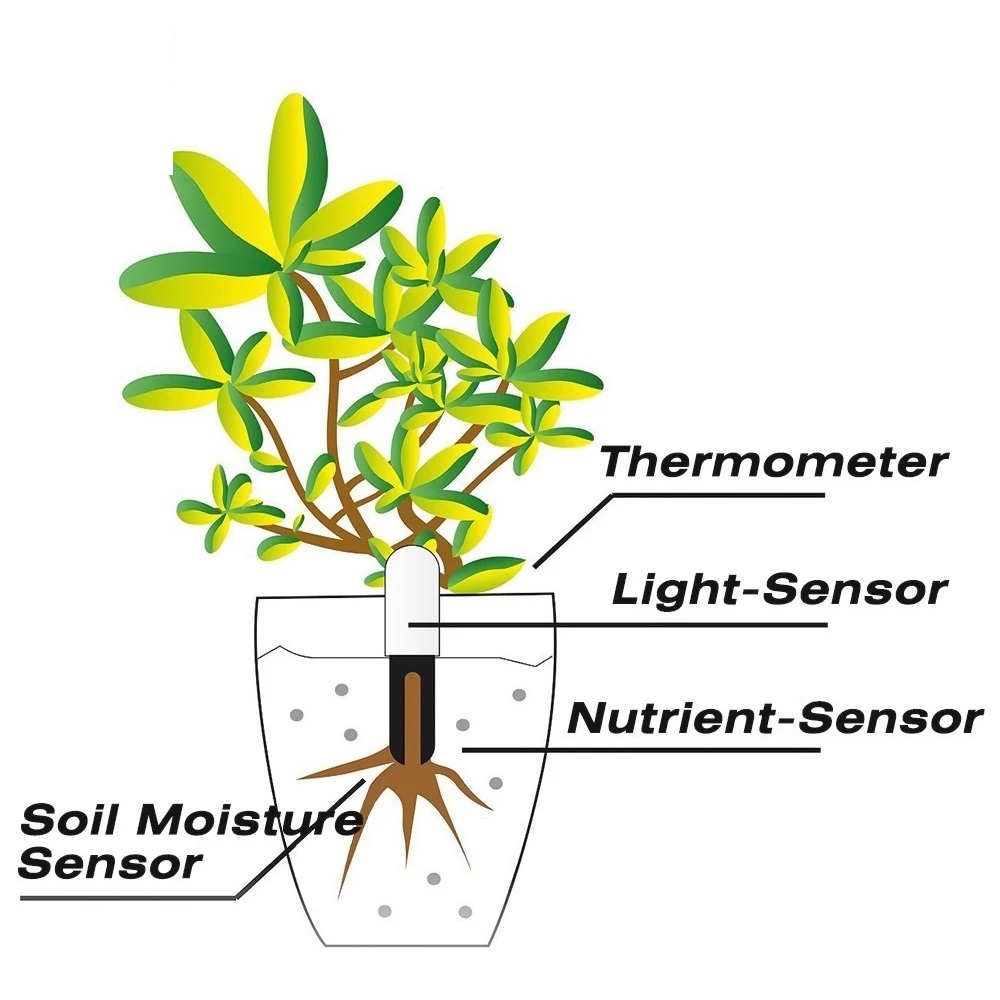 HHCC Monitor bunga detektor be - Smart Garden Water ulasan dan harga